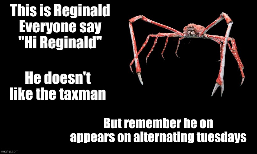Reginald | This is Reginald
Everyone say
"Hi Reginald"; He doesn't like the taxman; But remember he on appears on alternating tuesdays | image tagged in reginald,spidercrab | made w/ Imgflip meme maker