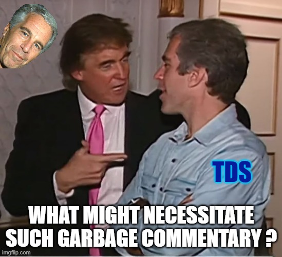 trump epstein party | TDS; WHAT MIGHT NECESSITATE
SUCH GARBAGE COMMENTARY ? | image tagged in trump epstein party | made w/ Imgflip meme maker