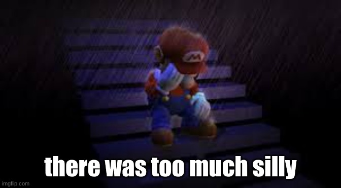 Sad mario | there was too much silly | image tagged in sad mario | made w/ Imgflip meme maker