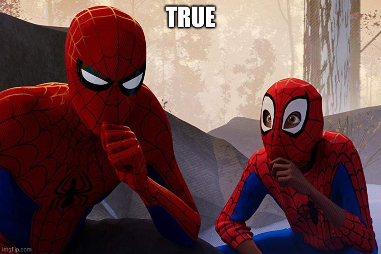 Miles Morales | TRUE | image tagged in miles morales | made w/ Imgflip meme maker