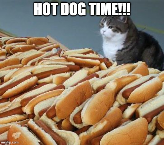 HOT DOG TIME!!! | HOT DOG TIME!!! | image tagged in too many hot dogs | made w/ Imgflip meme maker