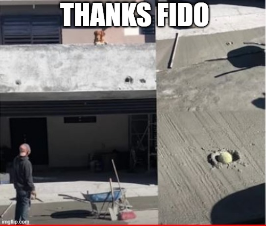 WTF Dog | THANKS FIDO | image tagged in you had one job | made w/ Imgflip meme maker