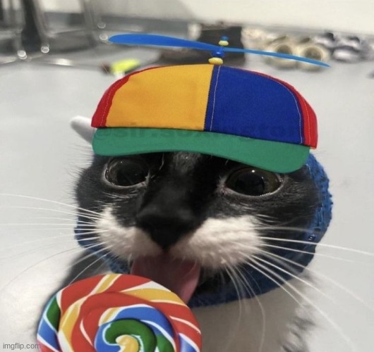 silly goober | image tagged in silly goober | made w/ Imgflip meme maker