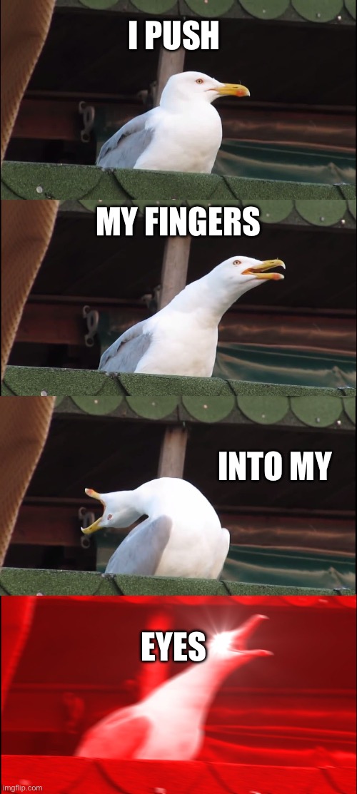 Name that song | I PUSH; MY FINGERS; INTO MY; EYES | image tagged in memes,inhaling seagull | made w/ Imgflip meme maker