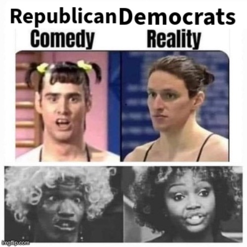 Democrats and reality’s | image tagged in b slap,funny,gifs | made w/ Imgflip meme maker