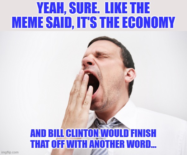 yawn | YEAH, SURE.  LIKE THE MEME SAID, IT'S THE ECONOMY AND BILL CLINTON WOULD FINISH THAT OFF WITH ANOTHER WORD... | image tagged in yawn | made w/ Imgflip meme maker