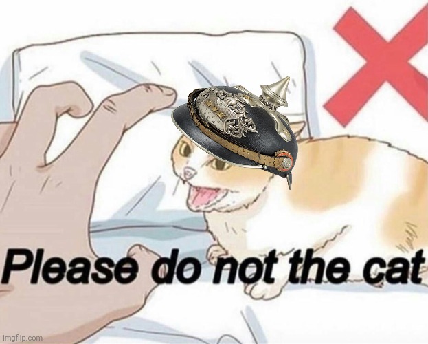 Please do not the cat | image tagged in please do not the cat | made w/ Imgflip meme maker