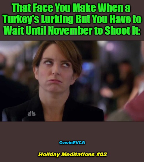 Holiday Meditations #02 | That Face You Make When a 

Turkey's Lurking But You Have to

Wait Until November to Shoot It:; OzwinEVCG; Holiday Meditations #02 | image tagged in tina fey eyeroll 2,memes,happy thanksgiving,hunting,season,rules | made w/ Imgflip meme maker