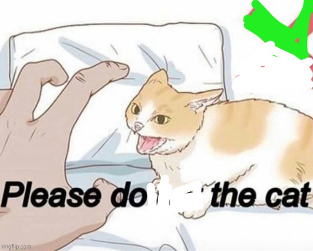 Please do not the cat | image tagged in please do not the cat | made w/ Imgflip meme maker