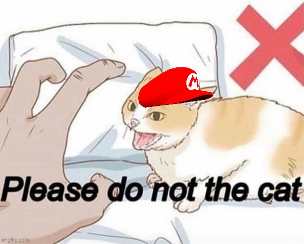 Please do not the cat | image tagged in please do not the cat | made w/ Imgflip meme maker