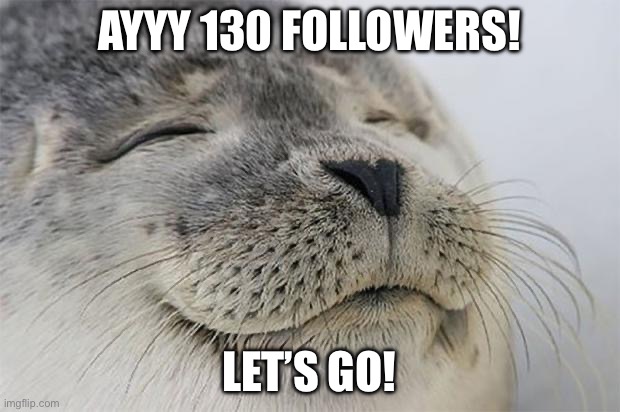 Satisfied Seal Meme | AYYY 130 FOLLOWERS! LET’S GO! | image tagged in memes,satisfied seal | made w/ Imgflip meme maker