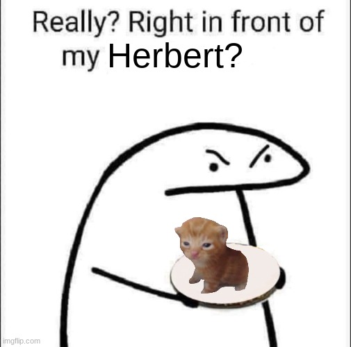 yes | Herbert? | image tagged in really right in front of my pancit | made w/ Imgflip meme maker