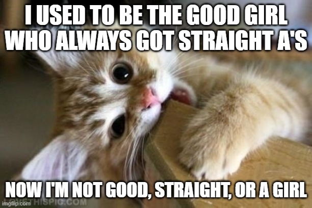 the enbeam hit hard | I USED TO BE THE GOOD GIRL WHO ALWAYS GOT STRAIGHT A'S; NOW I'M NOT GOOD, STRAIGHT, OR A GIRL | image tagged in that's just silly cat | made w/ Imgflip meme maker