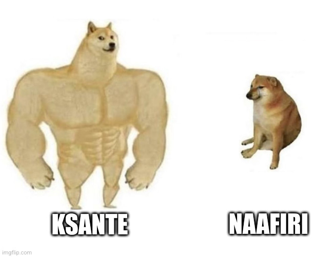 Dog comparison | NAAFIRI; KSANTE | image tagged in dog comparison | made w/ Imgflip meme maker