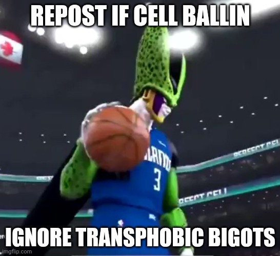 Cell ballin’ | REPOST IF CELL BALLIN; IGNORE TRANSPHOBIC BIGOTS | image tagged in cell ballin | made w/ Imgflip meme maker