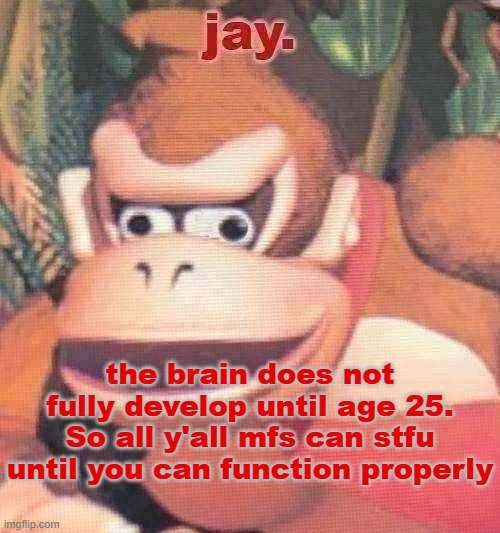 until then, just take my advice and shut up if someone disagrees with you. If you can't say nothing nice, don't say nothing at a | the brain does not fully develop until age 25. So all y'all mfs can stfu until you can function properly | image tagged in jay announcement temp | made w/ Imgflip meme maker