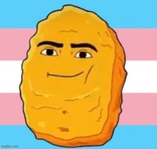 Gedagedegedagedao Nugget is TRANS and PROUD! | made w/ Imgflip meme maker
