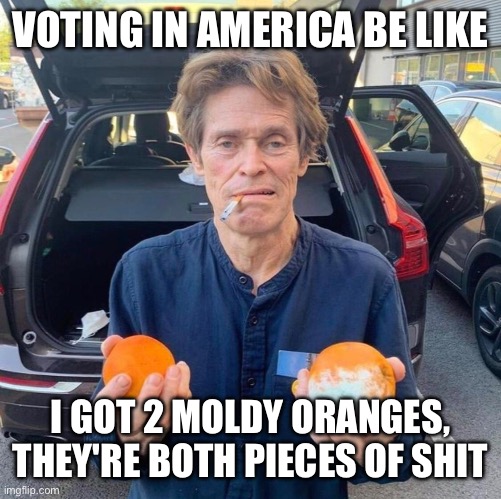 Both shit | VOTING IN AMERICA BE LIKE; I GOT 2 MOLDY ORANGES, THEY'RE BOTH PIECES OF SHIT | image tagged in republican,democrat,leftist,left wing,joe biden,donald trump | made w/ Imgflip meme maker