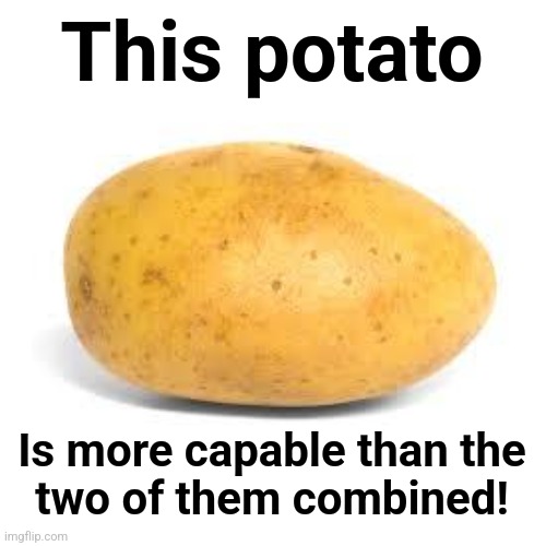 Potato | This potato Is more capable than the
two of them combined! | image tagged in potato | made w/ Imgflip meme maker