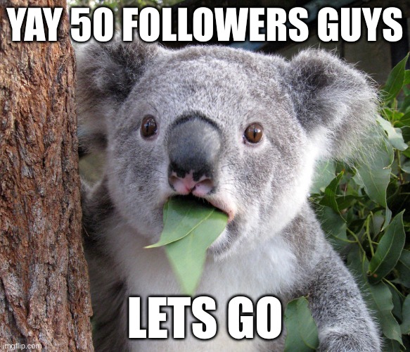 YAY 50 FOLLOWERS GUYS; LETS GO | made w/ Imgflip meme maker