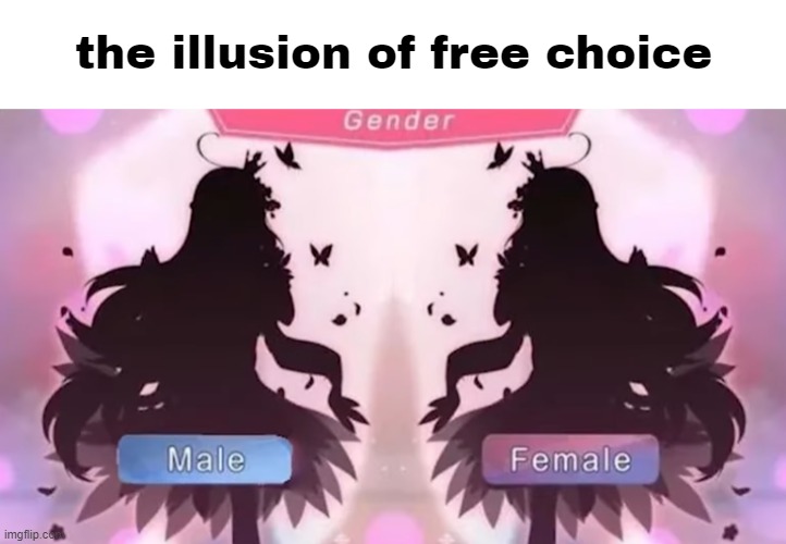 the illusion of free choice | made w/ Imgflip meme maker