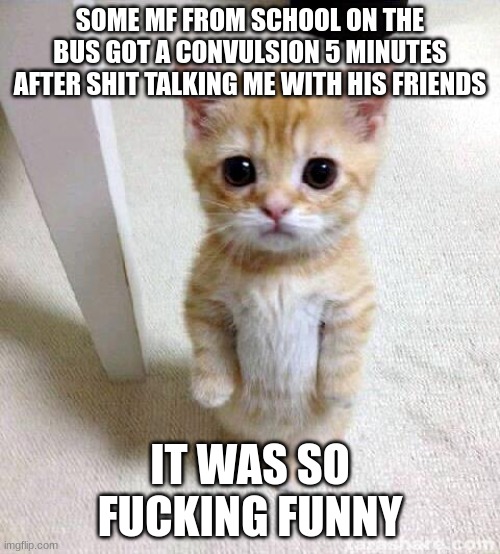 karmas a bitch I shouldve known better | SOME MF FROM SCHOOL ON THE BUS GOT A CONVULSION 5 MINUTES AFTER SHIT TALKING ME WITH HIS FRIENDS; IT WAS SO FUCKING FUNNY | image tagged in memes,cute cat | made w/ Imgflip meme maker