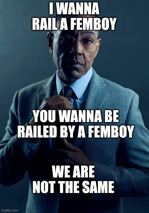 Gus Fring we are not the same | I WANNA RAIL A FEMBOY YOU WANNA BE RAILED BY A FEMBOY WE ARE NOT THE SAME | image tagged in gus fring we are not the same | made w/ Imgflip meme maker