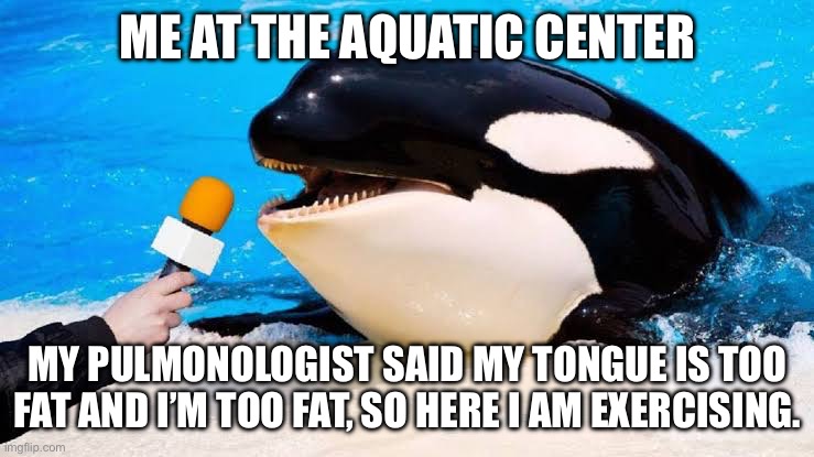 Orca Sleep Apnea | ME AT THE AQUATIC CENTER; MY PULMONOLOGIST SAID MY TONGUE IS TOO FAT AND I’M TOO FAT, SO HERE I AM EXERCISING. | image tagged in orca talking into a microphone,sleep,breathe,tongue,fat | made w/ Imgflip meme maker