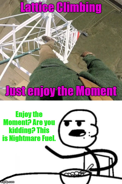 Enjoy the moment, or not. | Lattice Climbing; Just enjoy the Moment; Enjoy the Moment? Are you kidding? This is Nightmare Fuel. | image tagged in gittersteigen,lattice climbing,meme,klettern,sport,extreme sports | made w/ Imgflip meme maker