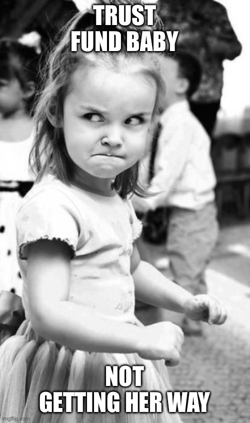 Angry Toddler Meme | TRUST FUND BABY; NOT GETTING HER WAY | image tagged in memes,angry toddler | made w/ Imgflip meme maker
