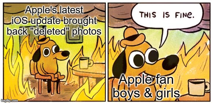 Apple doesn't actually delete your photos | Apple's latest iOS update brought back "deleted" photos; Apple fan boys & girls | image tagged in memes,this is fine,privacy,apple | made w/ Imgflip meme maker