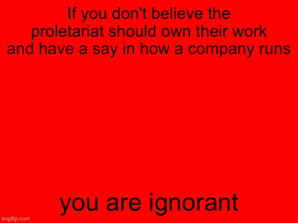 Seize the means | If you don't believe the proletariat should own their work and have a say in how a company runs; you are ignorant | image tagged in leftist,left wing,communism,socialist,socialism,communist | made w/ Imgflip meme maker