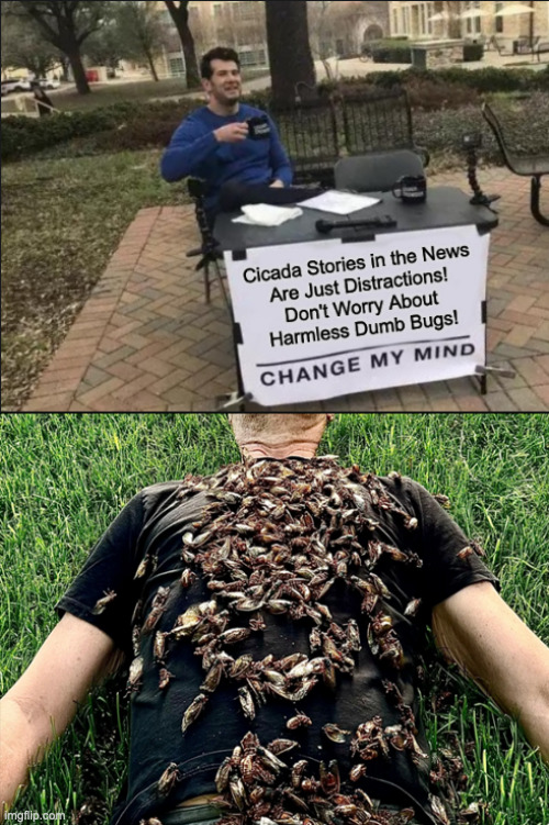 Cicada Click-bate Plot Twist | image tagged in cicada,distraction,funny,memes | made w/ Imgflip meme maker
