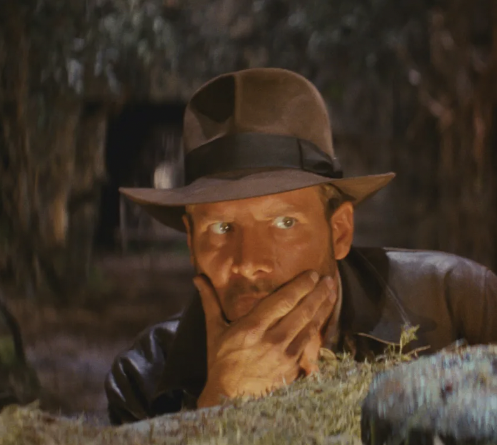 High Quality Indiana Jones thinking Blank Meme Template