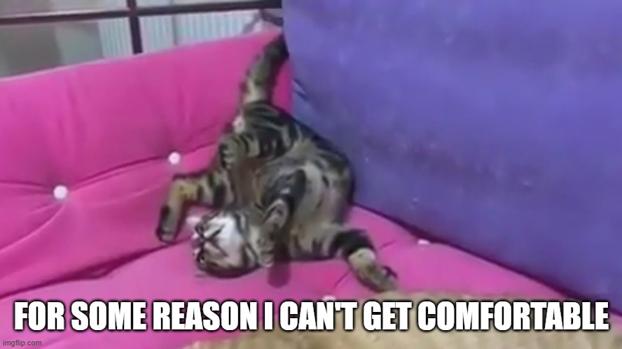 memes by Brad - Cat trying to get comfortable | FOR SOME REASON I CAN'T GET COMFORTABLE | image tagged in funny,cats,funny cat,cute kitten,kittens,humor | made w/ Imgflip meme maker
