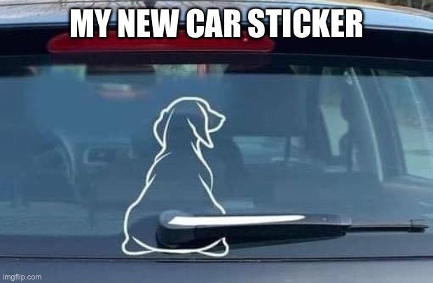 Car sticker | MY NEW CAR STICKER | image tagged in dog | made w/ Imgflip meme maker