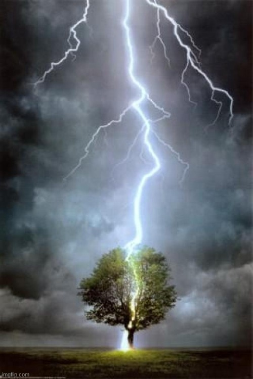 lightning-tree-strike | image tagged in lightning-tree-strike | made w/ Imgflip meme maker
