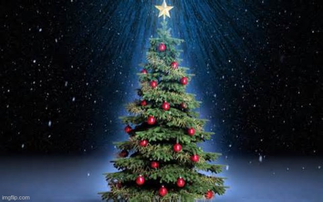 christmas tree | image tagged in christmas tree | made w/ Imgflip meme maker