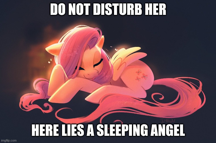 sleeping angel | DO NOT DISTURB HER; HERE LIES A SLEEPING ANGEL | image tagged in sleeping angel,mlp,fluttershy | made w/ Imgflip meme maker