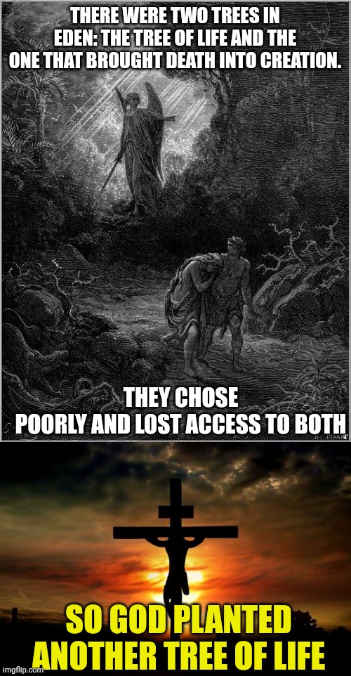 THERE WERE TWO TREES IN EDEN: THE TREE OF LIFE AND THE ONE THAT BROUGHT DEATH INTO CREATION. THEY CHOSE
POORLY AND LOST ACCESS TO BOTH; SO GOD PLANTED ANOTHER TREE OF LIFE | image tagged in adam and eve leaving eden,jesus on the cross | made w/ Imgflip meme maker
