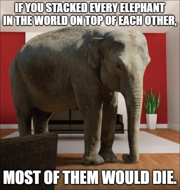 Fun elephant fact! | IF YOU STACKED EVERY ELEPHANT IN THE WORLD ON TOP OF EACH OTHER, MOST OF THEM WOULD DIE. | image tagged in elephant in the room | made w/ Imgflip meme maker