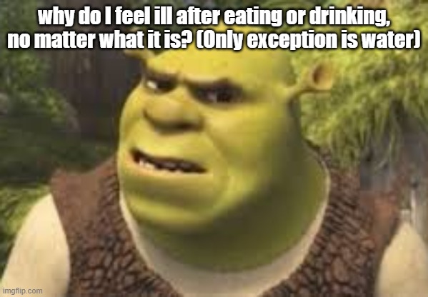 Confused shrek | why do I feel ill after eating or drinking, no matter what it is? (Only exception is water) | image tagged in confused shrek | made w/ Imgflip meme maker