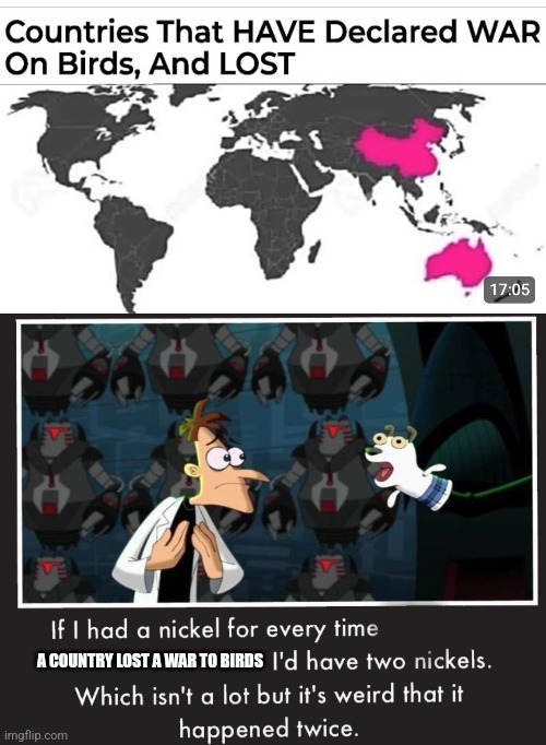 A COUNTRY LOST A WAR TO BIRDS | image tagged in doof if i had a nickel | made w/ Imgflip meme maker