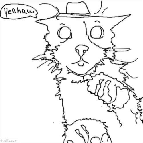 soggy cat as a cowgirl Blank Meme Template