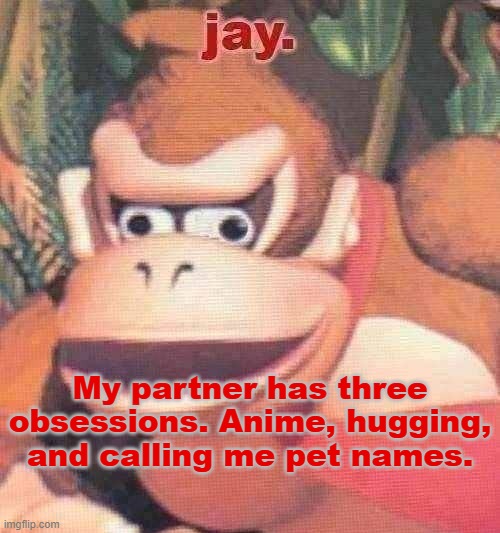Average conversation goes: "Hey, bae, have you seen the latest episode of one piece? *hugs*" | My partner has three obsessions. Anime, hugging, and calling me pet names. | image tagged in jay announcement temp | made w/ Imgflip meme maker