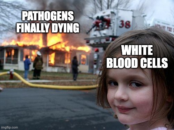 White blood cells kill pathogens | PATHOGENS FINALLY DYING; WHITE BLOOD CELLS | image tagged in disaster girl,the human body,germs,bacteria,virus,funny memes | made w/ Imgflip meme maker