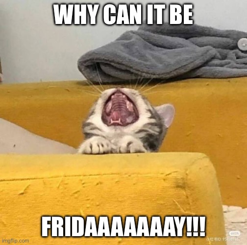 WHY CAN IT BE FRIDAY | WHY CAN IT BE; FRIDAAAAAAAY!!! | image tagged in wednesday,thursday | made w/ Imgflip meme maker