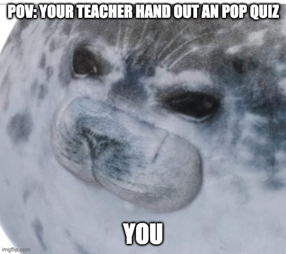 pop quiz | POV: YOUR TEACHER HAND OUT AN POP QUIZ; YOU | image tagged in memes | made w/ Imgflip meme maker
