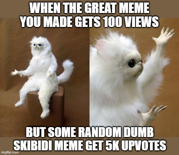 The harsh reality of Imgflip | WHEN THE GREAT MEME YOU MADE GETS 100 VIEWS; BUT SOME RANDOM DUMB SKIBIDI MEME GET 5K UPVOTES | image tagged in memes,persian cat room guardian,sad,sad but true,bruh,not funny | made w/ Imgflip meme maker