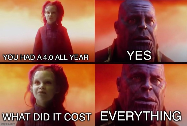 Hopefully it will be worth it | YOU HAD A 4.0 ALL YEAR; YES; WHAT DID IT COST; EVERYTHING | image tagged in thanos what did it cost | made w/ Imgflip meme maker